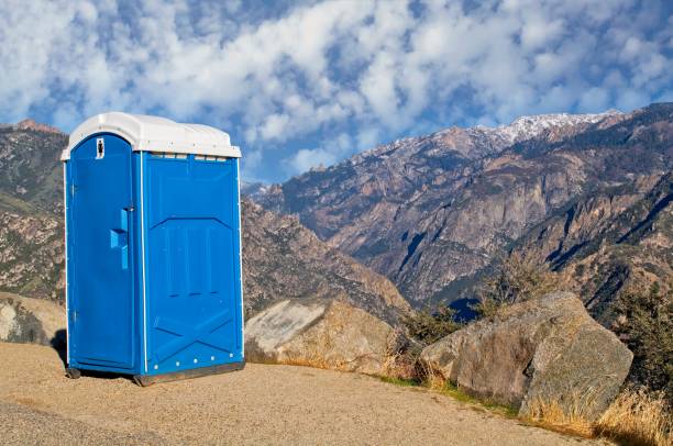 Best Porta potty cleaning services  in Wood River, IL